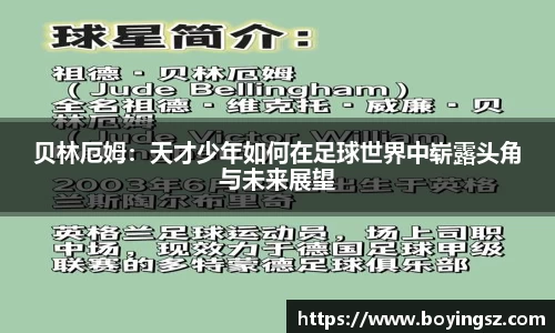 星空体育平台app